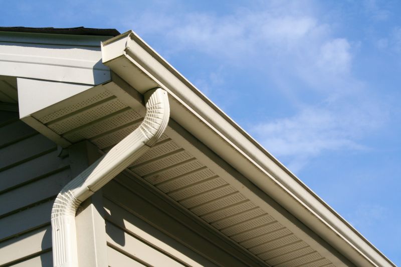Porch Ceiling Replacement in Conroe, TX