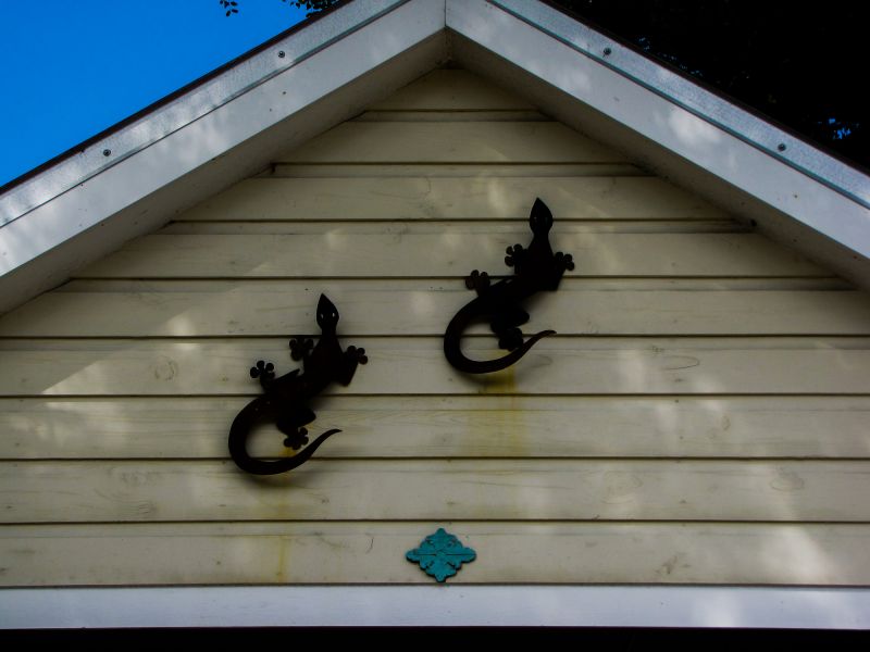 Decorative Shiplap Finish